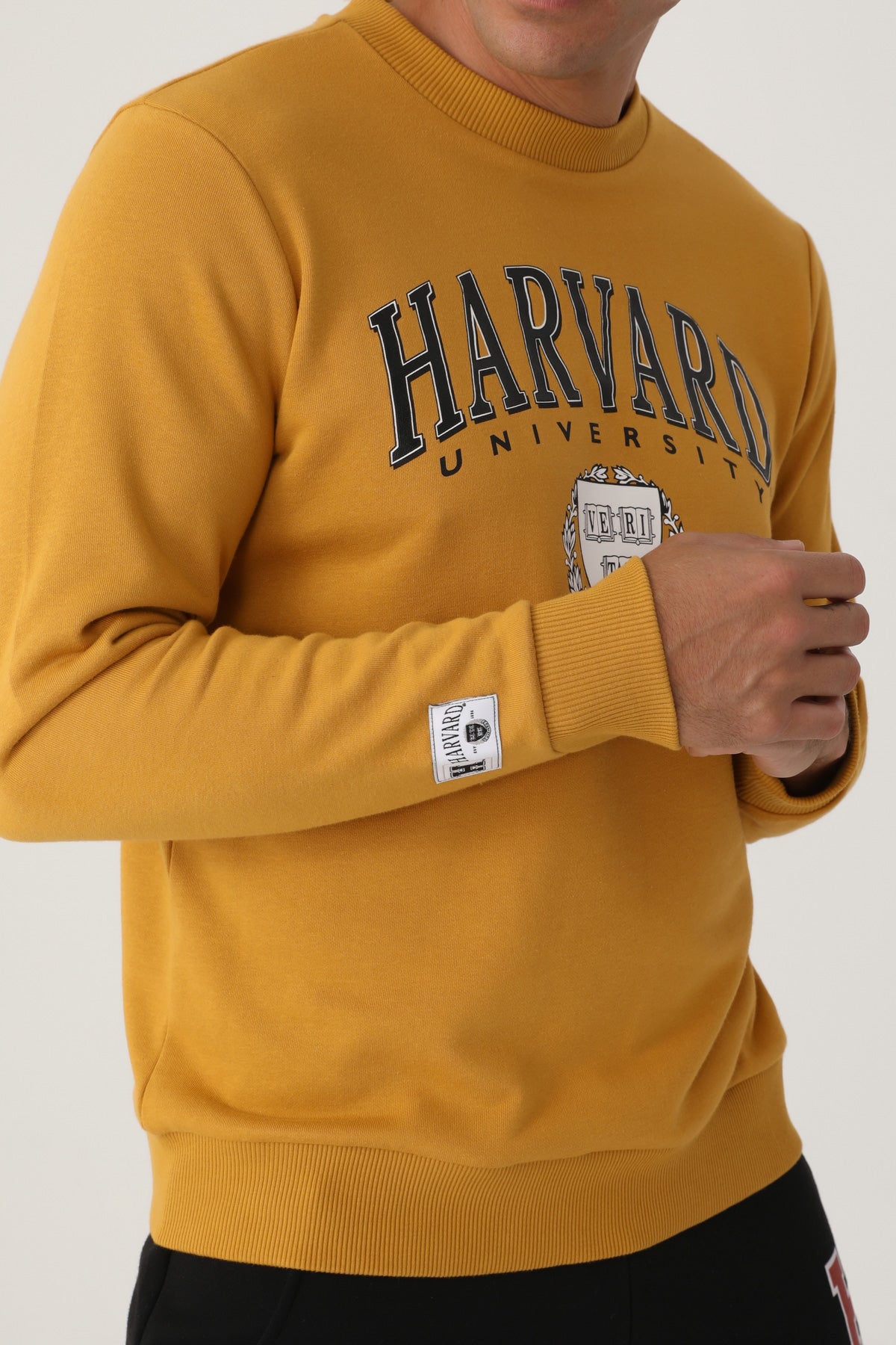 Harvard žuta muška dukserica sa okruglim izrezom