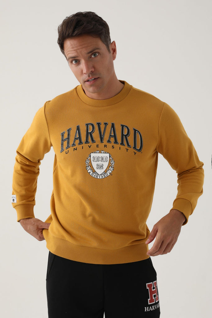 Harvard žuta muška dukserica sa okruglim izrezom
