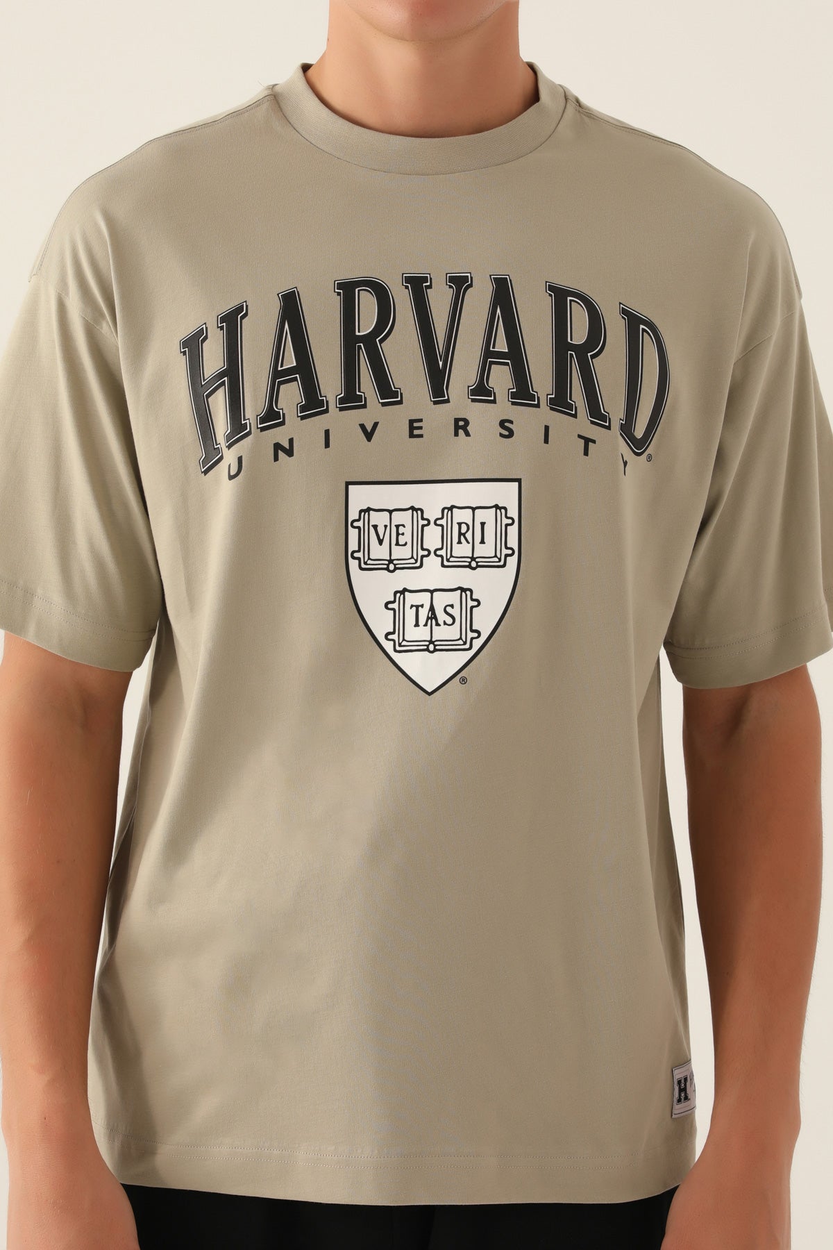 Harvard bež muška majica sa velikim natpisom