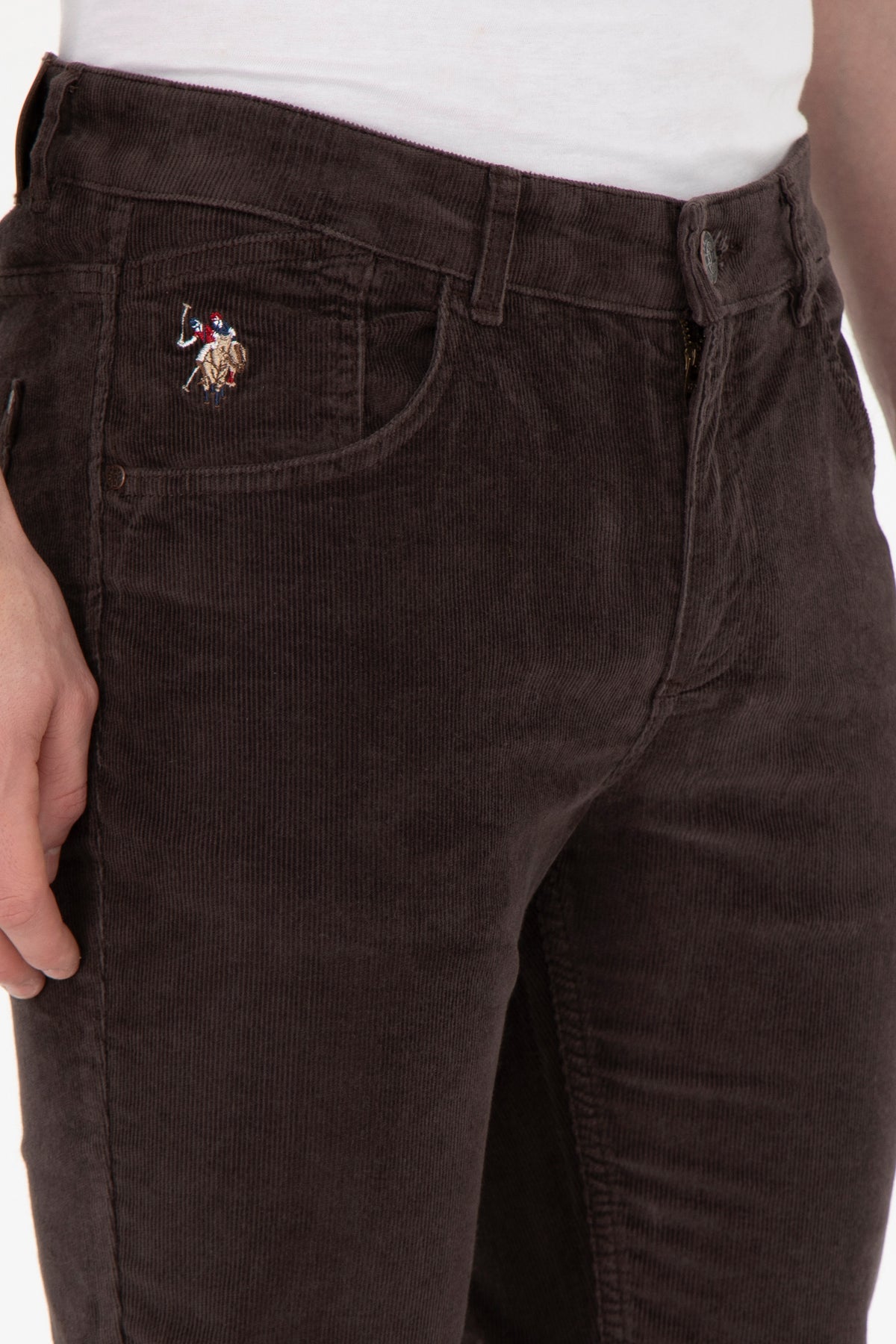 U.S. Polo Assn. smeđe muške somotske pantalone