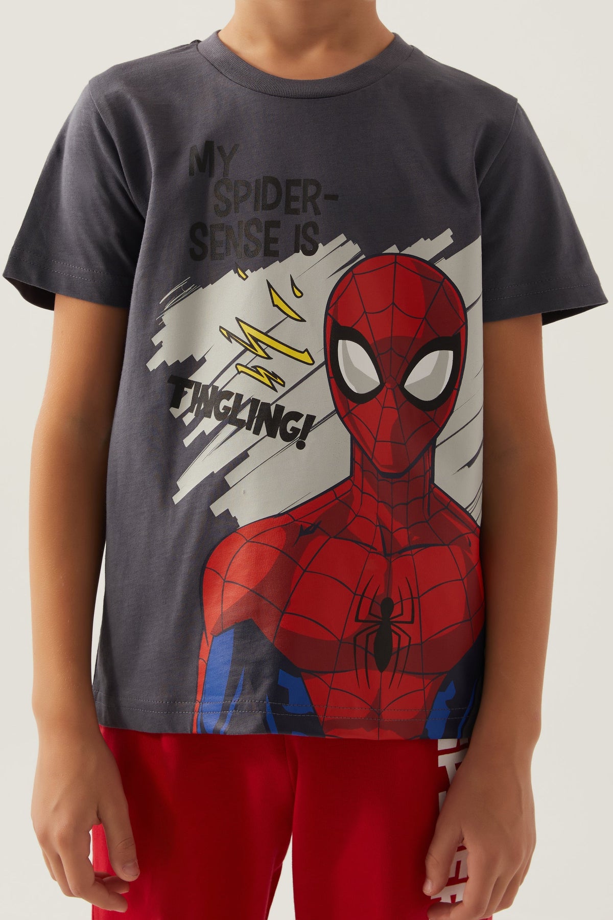 Marvel sivi komplet za dječake sa Spider-Man motivom