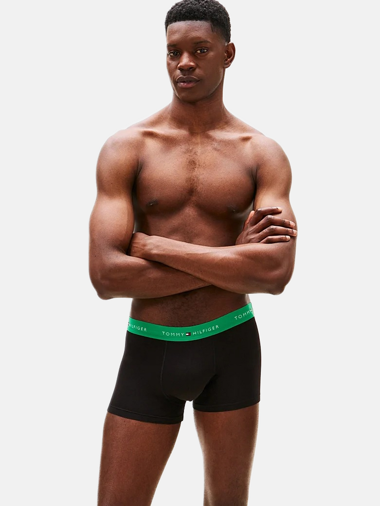 Tommy Hilfiger crni muški donji veš s raznobojnim pojasom 3/1-[SKU]