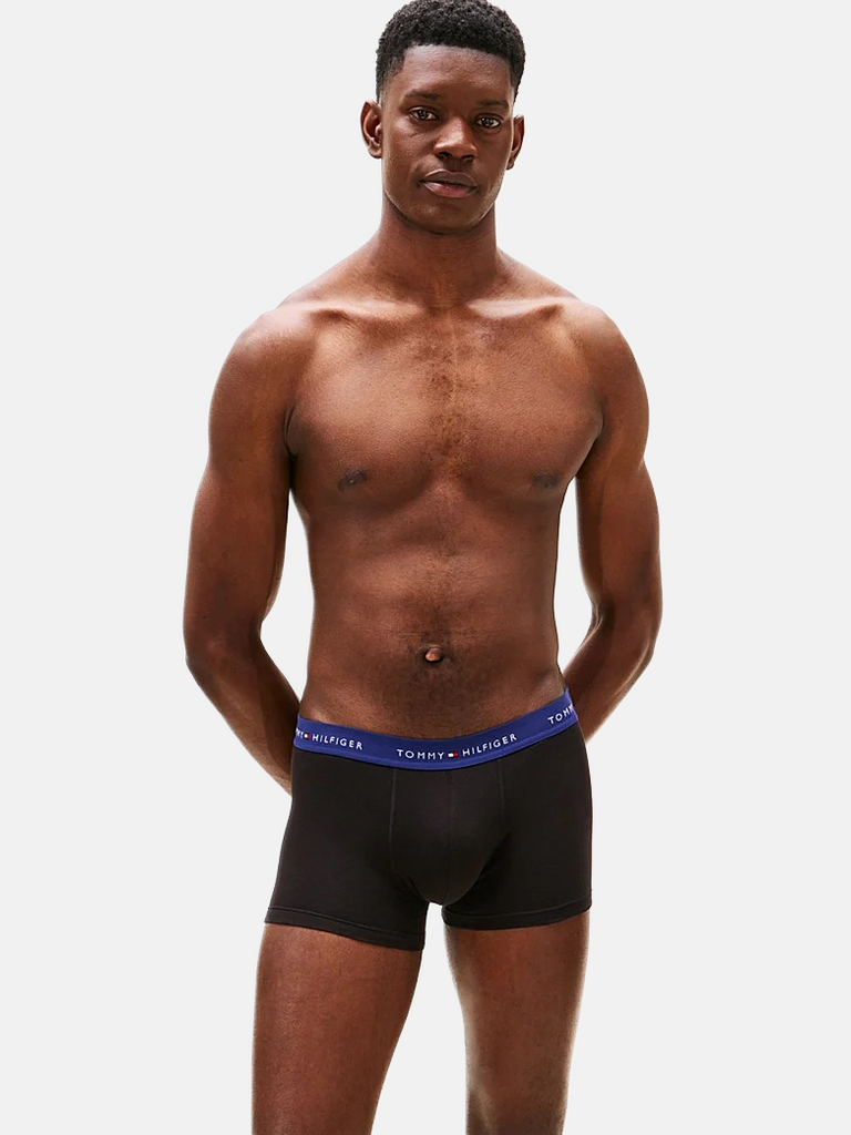 Tommy Hilfiger crni muški donji veš s raznobojnim pojasom 3/1-[SKU]