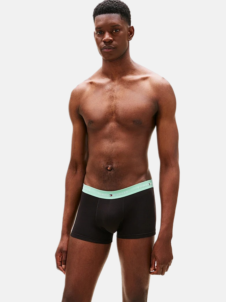 Tommy Hilfiger crni muški donji veš s raznobojnim pojasom 3/1-[SKU]