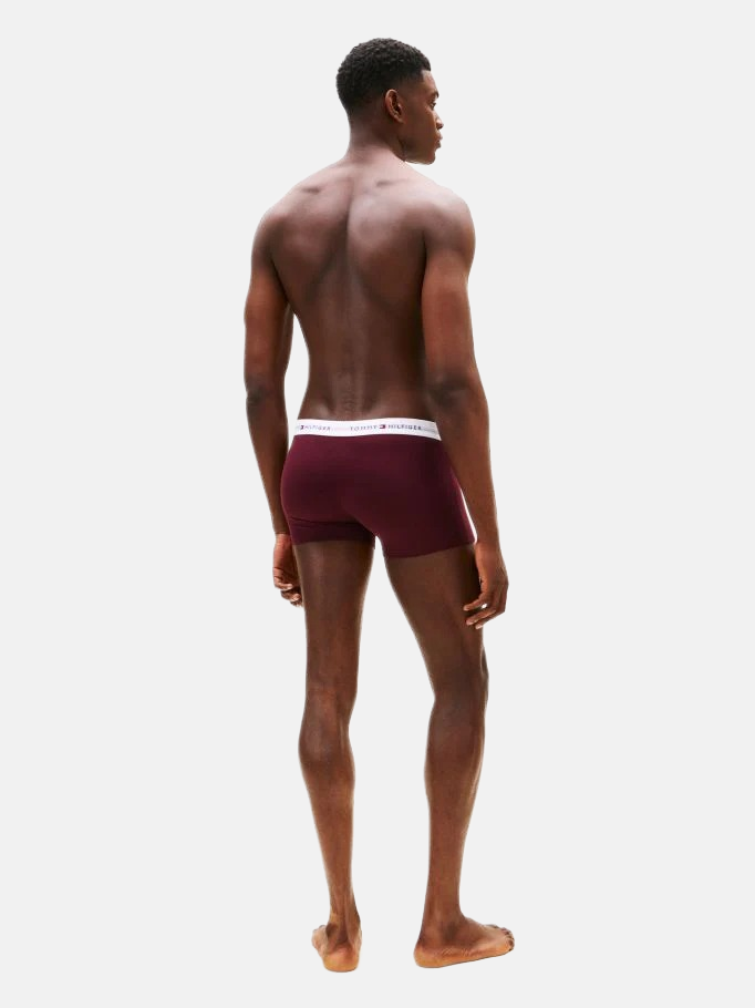 Tommy Hilfiger muški donji veš mix boja 3/1-[SKU]