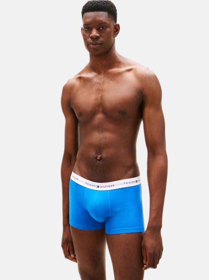 Tommy Hilfiger muški donji veš mix boja 3/1-[SKU]